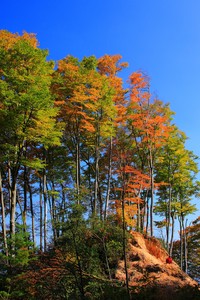 史帕罗马注定殇险，主是涕泪