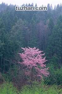 塞维利亚球员因伤离场，或缺席下一场比赛