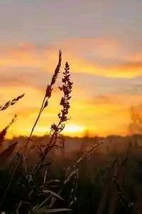 斯图加特主场横扫对手拿下胜利