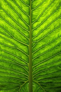 斯图加特主场横扫对手拿下胜利