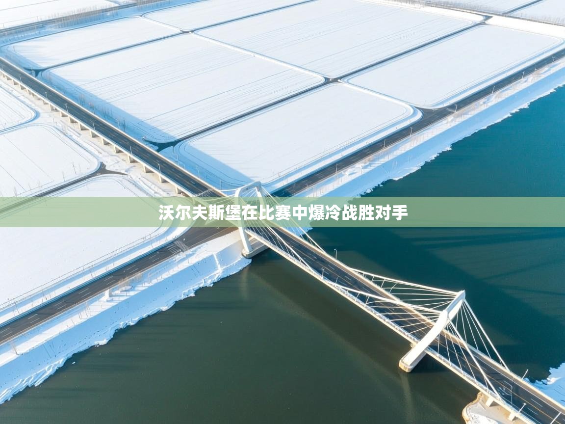 沃尔夫斯堡在比赛中爆冷战胜对手